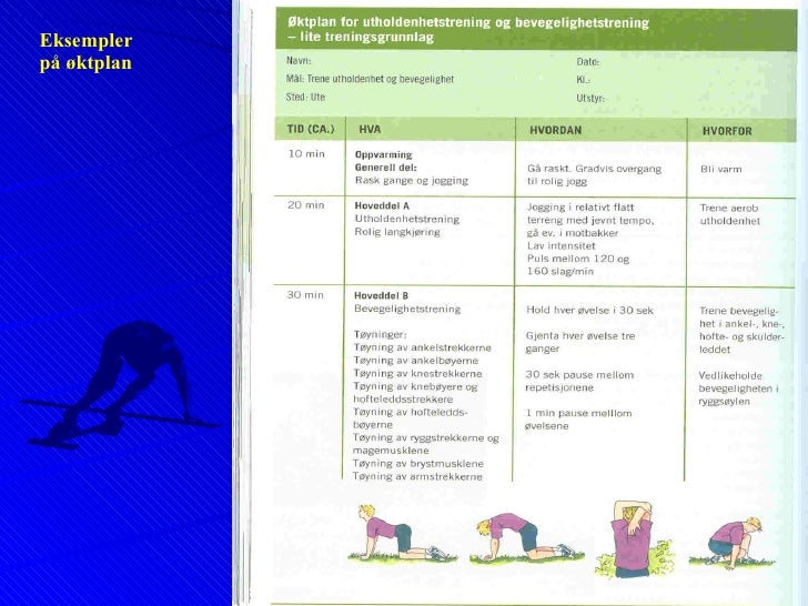egentrening øktplan styrke egentrening øktplan styrke